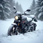 Motorrad Winter Check