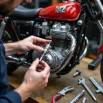 Wartung und Reparatur eines MZ Motors