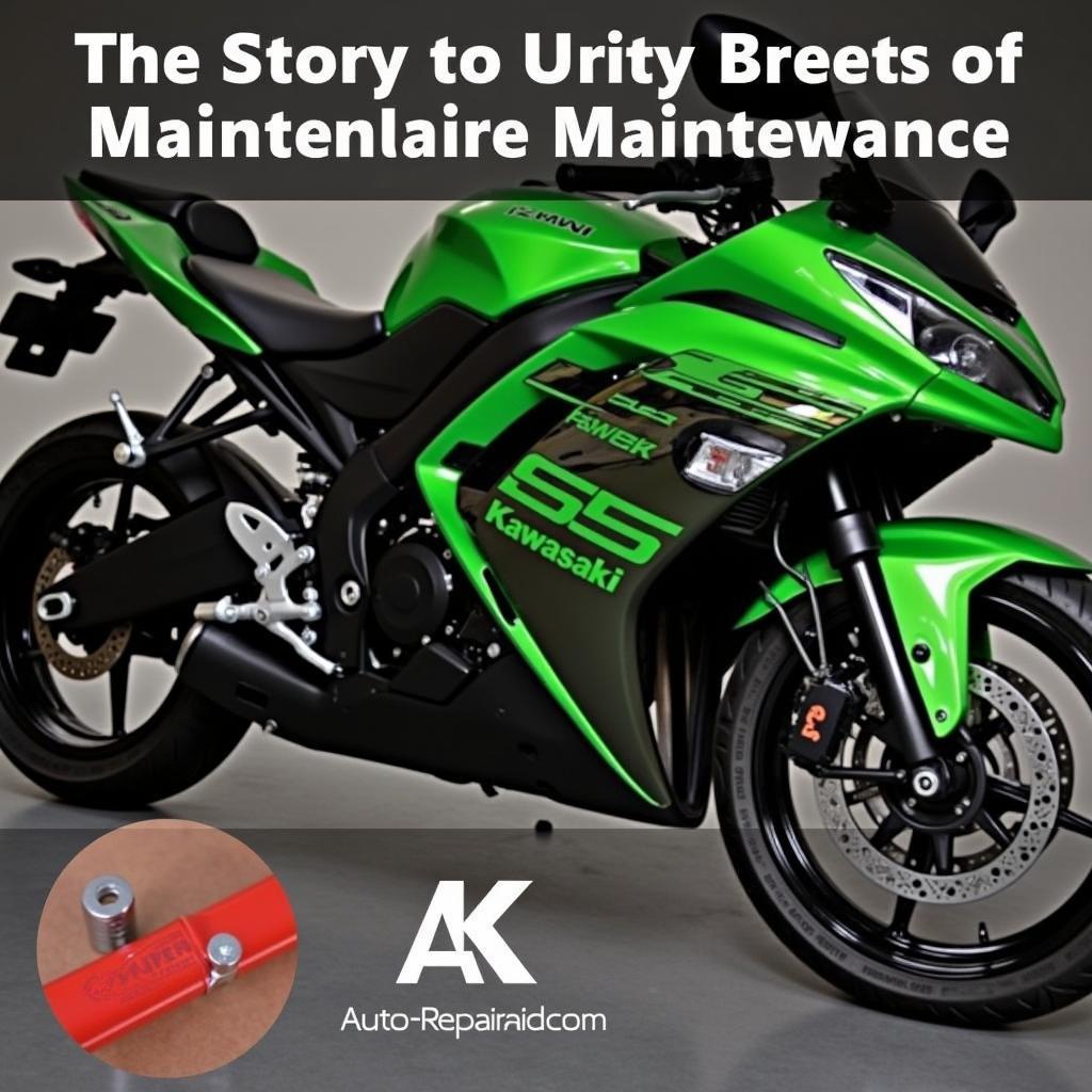 Wartung und Reparatur der Ninja 650