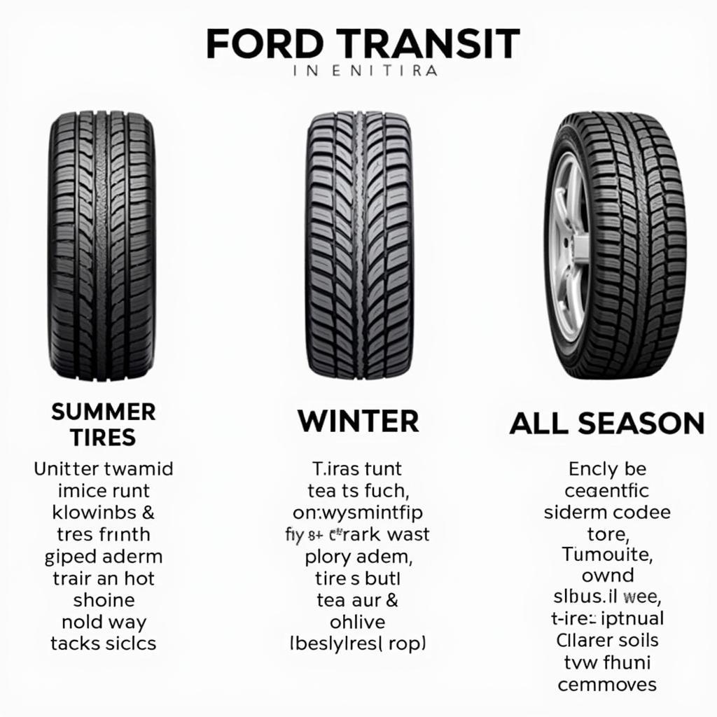 Verschiedene Reifentypen für Ford Transit: Sommerreifen, Winterreifen und Ganzjahresreifen.