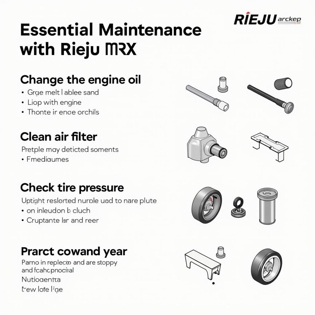 Manutenção regular da Rieju MRX