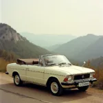 Skoda Felicia Cabrio Oldtimer Modell