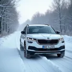 Skoda Enyaq 60 Reichweite im Winter