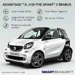 Vorteile des Smart 3 Brabus Leasings