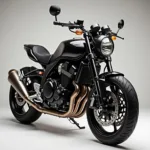 Suzuki Bandit Streetfighter Umbau