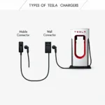 Tesla Ladegerät Typen: Mobile Connector, Wall Connector und Supercharger