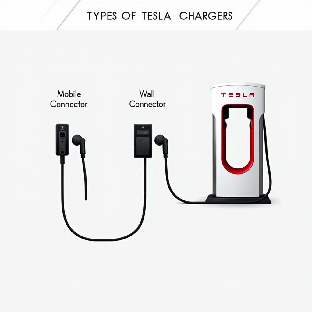 Tesla Ladegerät Typen: Mobile Connector, Wall Connector und Supercharger