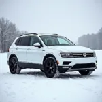 Tiguan Felgen 18 Zoll mit Winterreifen