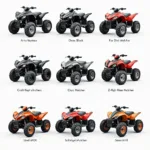 Verschiedene Schlegelmulcher Quad Modelle