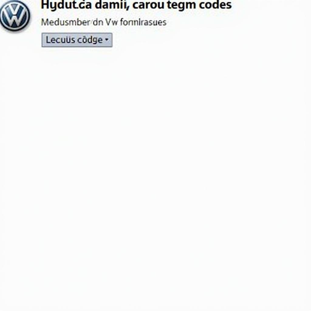 VW Ausstattungscode Online Decoder