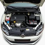 VW Polo Motor Überblick