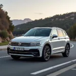 VW Tiguan Allspace und Lieferzeit