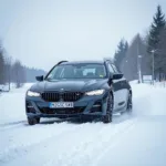 Winterreifen 215 50 R17 im Test