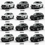 Audi Q5 Modell-Evolution über die Jahre