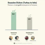 Benzinpreise Türkei vs. Deutschland