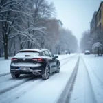 Berlin Tires Erfahrung: Auto mit Winterreifen im Schnee