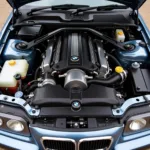 BMW E34 M3 Motorraum Detailansicht