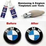 Wichtige Pflegetipps für das BMW E46 Emblem