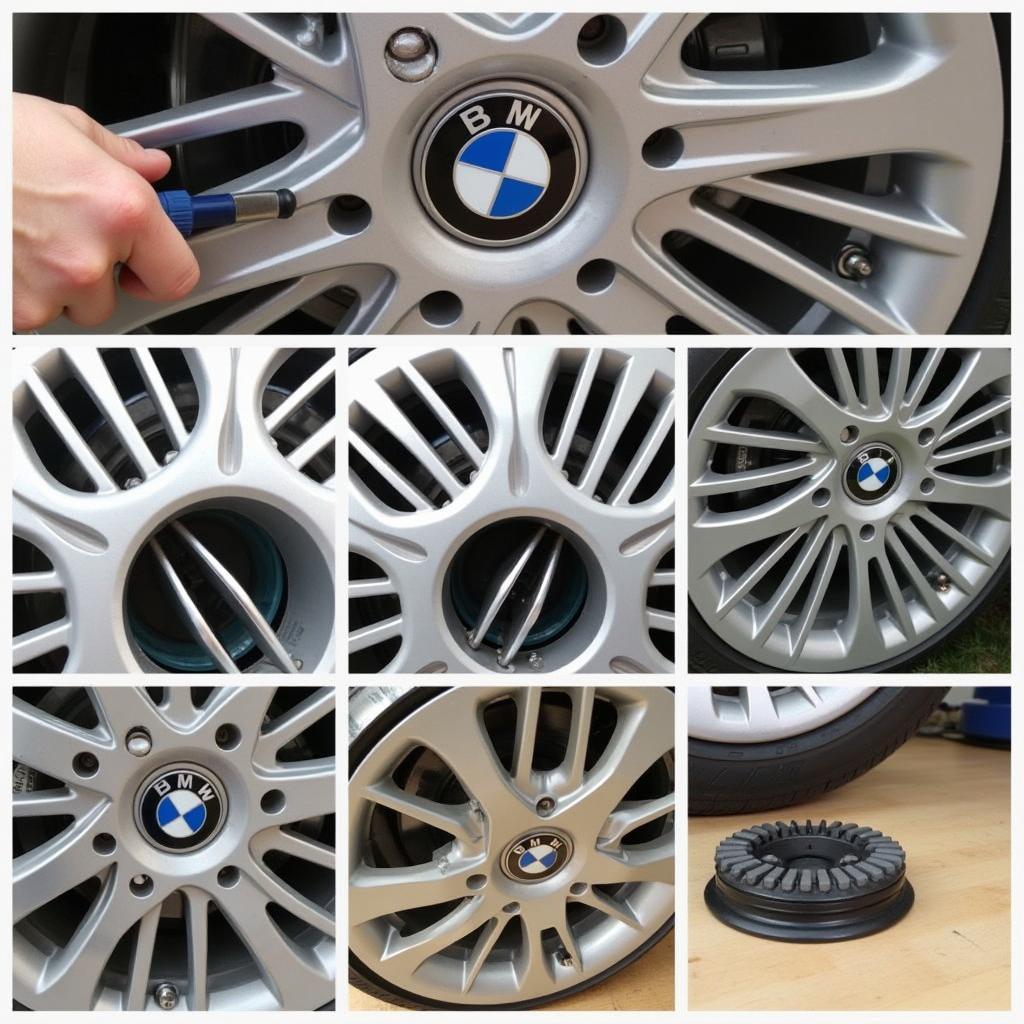 Proses Penggantian Hardyscheibe BMW