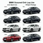 BMW xLine Vergleich mit anderen Ausstattungslinien