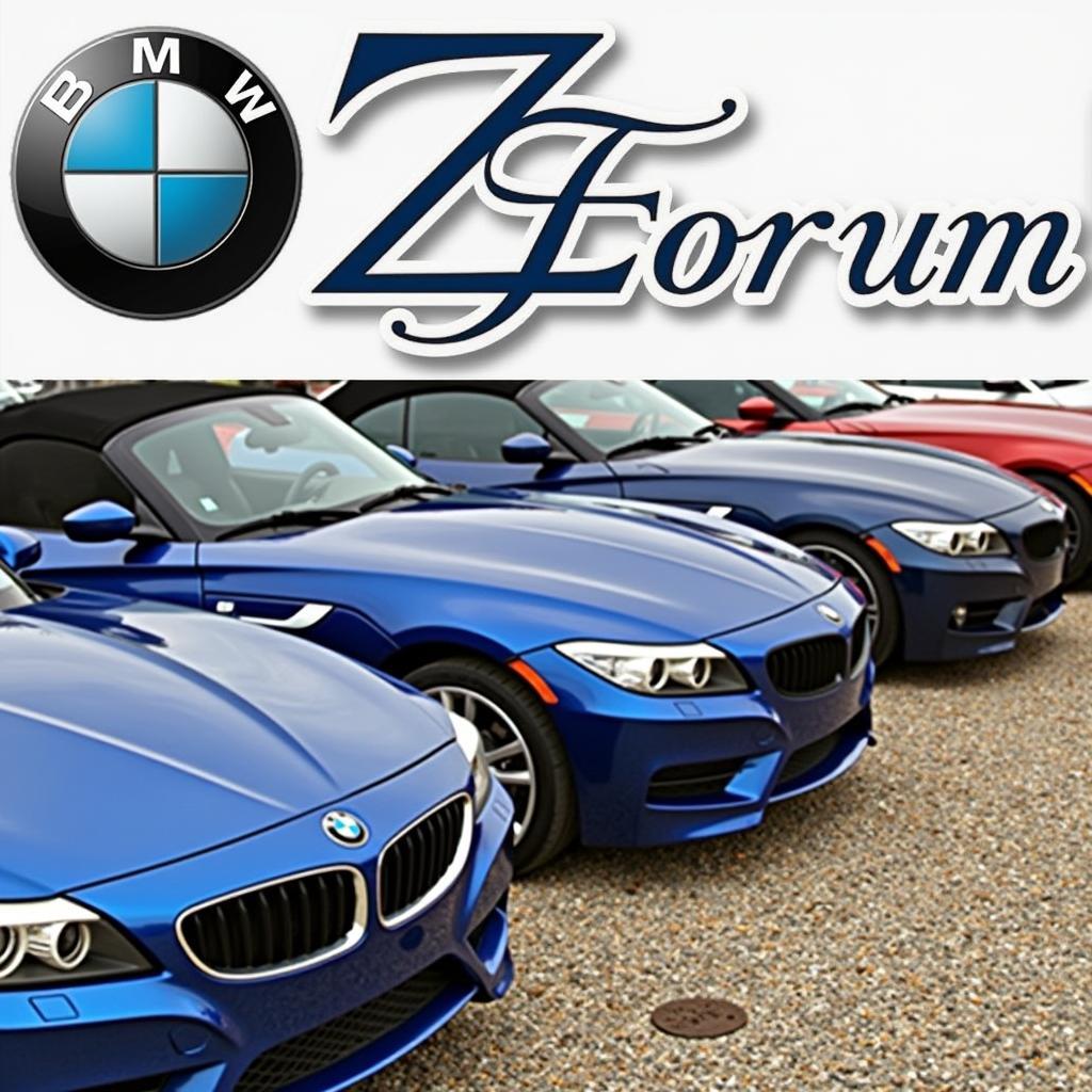 BMW Z4 Forum Treffen