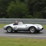 D-Type Jaguar auf der Rennstrecke