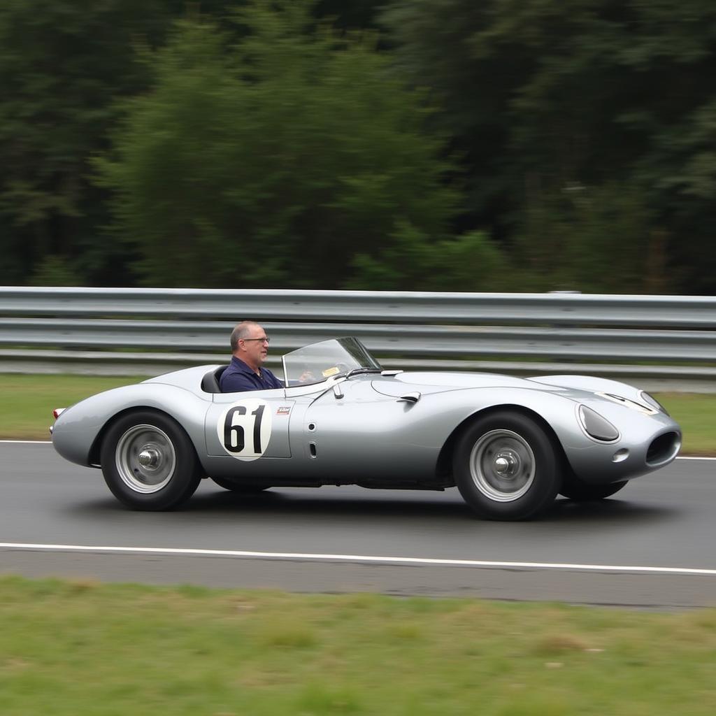 D-Type Jaguar auf der Rennstrecke