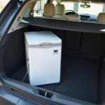 Dometic 12V Kühlschrank im Auto integriert