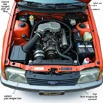 Ford Orion Motorraum