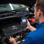 Ford Temp Diagnose und Reparatur