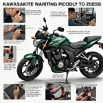 Kawasaki Z900 Wartung und Reparatur