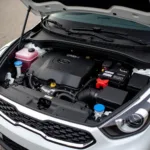 Kia Niro Edition 7 2024 Motorraum