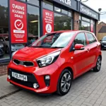 Kia Picanto Tageszulassung - Rot