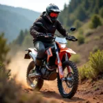 KTM 125 Enduro mit Straßenzulassung im Gelände