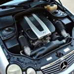 Motorraum des Mercedes-Benz CLK 2000 mit 2.0-Liter-Vierzylinder-Benzinmotor.