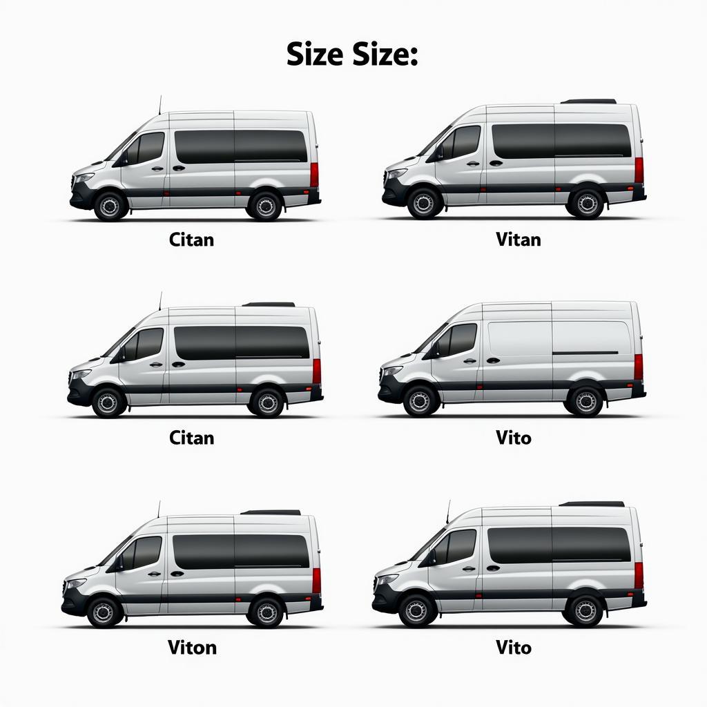 Vergleich der Mercedes Transporter Modelle: Citan, Vito und Sprinter.