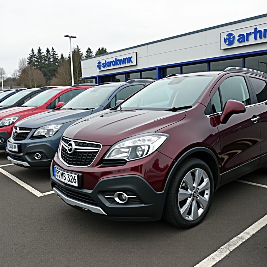 Gebrauchte Opel Mokka E beim Händler