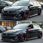 Beispiel für Peugeot Vogue Tuning