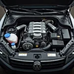 VW Touareg V10 TDI Motor Detailansicht