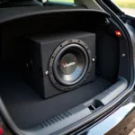 Visaton Subwoofer eingebaut im Kofferraum eines Autos