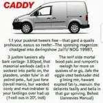 Volkswagen Caddy 1990 Reparaturhandbuch