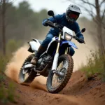 Yamaha XT 600E im Gelände