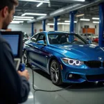 BMW Werkstatt Diagnose Netuschil