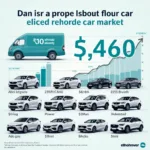 Dänischer Markt für gebrauchte Elektroautos