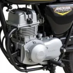 Detailansicht des luftgekühlten Einzylinder-Viertaktmotors der Hyosung GA 125.