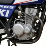 Detailansicht des Motors der Suzuki DR 650 RSE